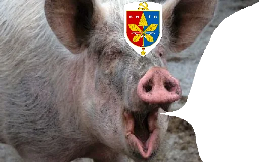 Стикер из набора госин мосин гойта ышта для Телеграм: Статические 🐷