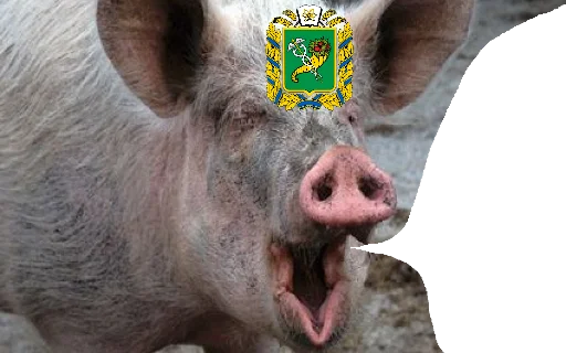 Стикер из набора госин мосин гойта ышта для Телеграм: Статические 🐷