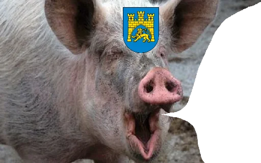 Стикер из набора госин мосин гойта ышта для Телеграм: Статические 🐷