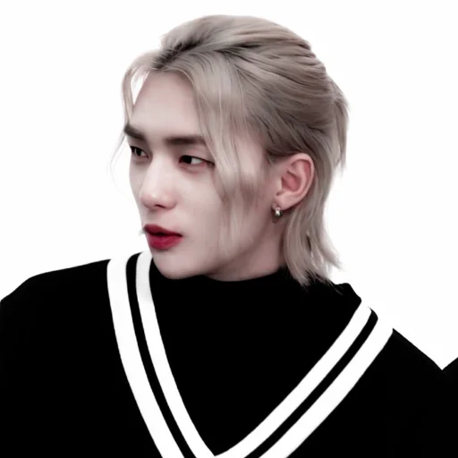 Стикер из набора hyunjin для Телеграм: Статические 🍙