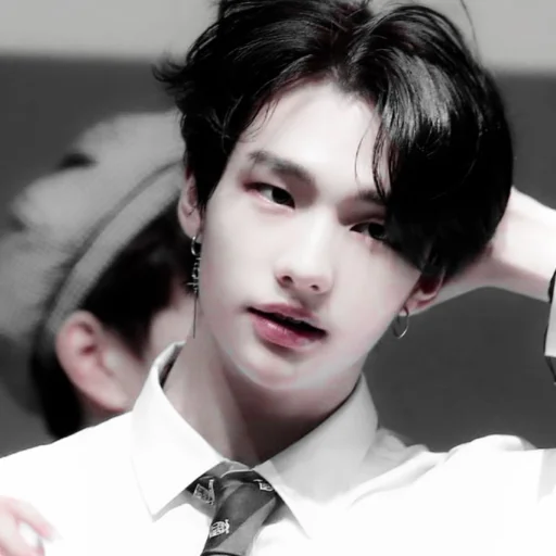Стикер из набора hyunjin для Телеграм: Статические 🍙