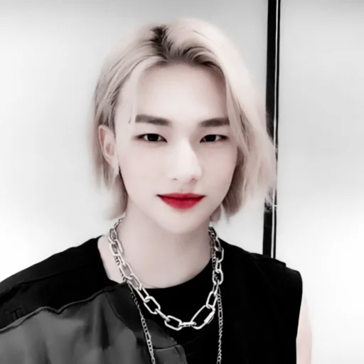 Стикер из набора hyunjin для Телеграм: Статические 🍙