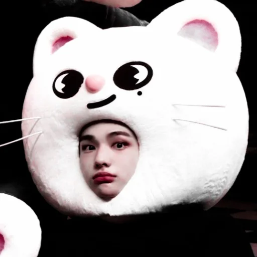 Стикер из набора hyunjin для Телеграм: Статические 🍙