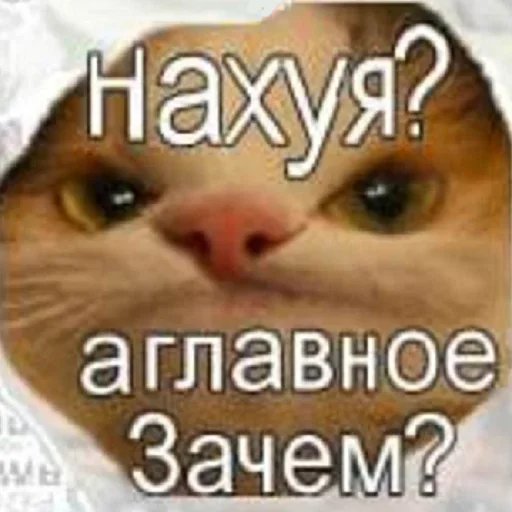 Стикер из набора Distortion @stickersb2b для Телеграм: Статические 🙄
