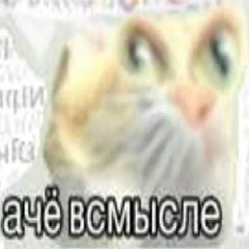 Стикер из набора Distortion @stickersb2b для Телеграм: Статические 😯