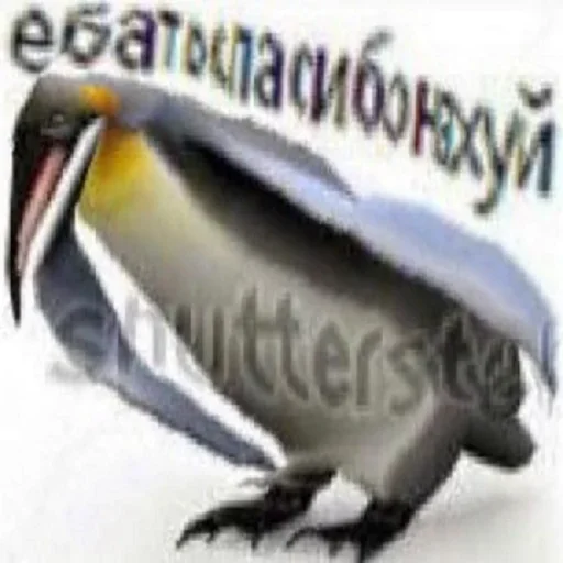 Стикер из набора Distortion @stickersb2b для Телеграм: Статические 🐧