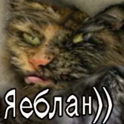 Стикер из набора Distortion @stickersb2b для Телеграм: Статические ☺️