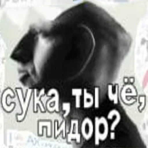 Стикер из набора Distortion @stickersb2b для Телеграм: Статические 🐶