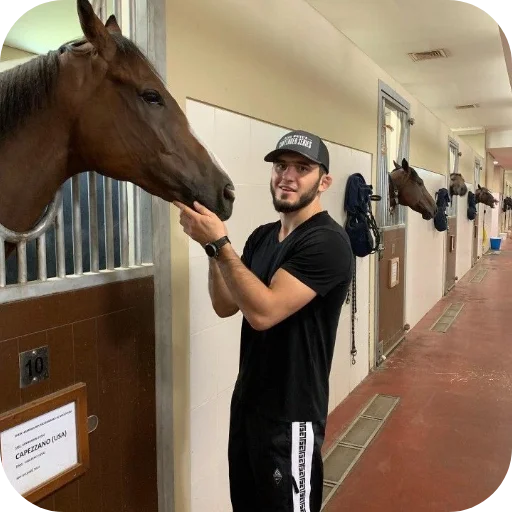 Стикер из набора Islam Makhachev • POOPIW для Телеграм: Статические 🐎