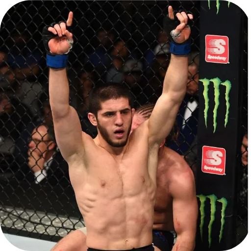 Стикер из набора Islam Makhachev • POOPIW для Телеграм: Статические 💪