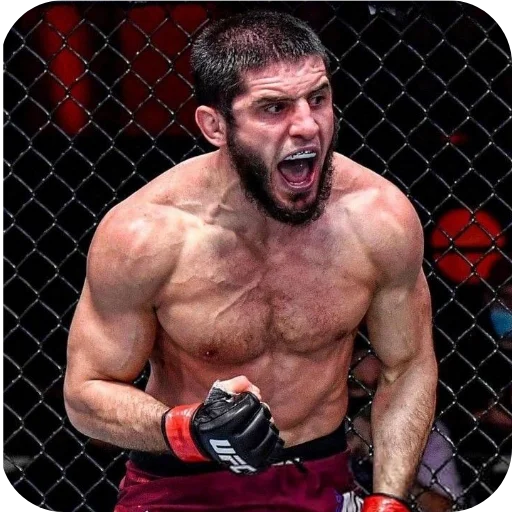 Стикер из набора Islam Makhachev • POOPIW для Телеграм: Статические 👤