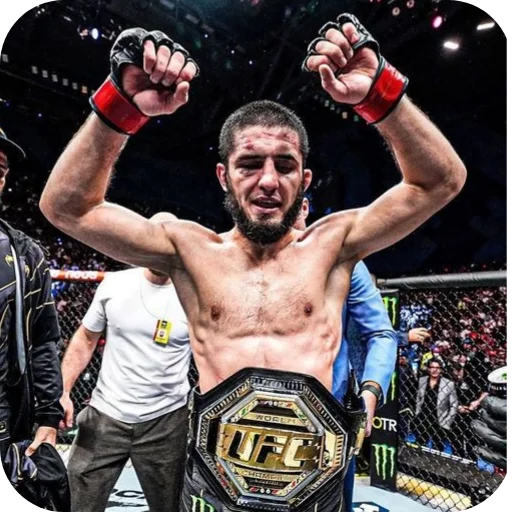 Стикер из набора Islam Makhachev • POOPIW для Телеграм: Статические 💪
