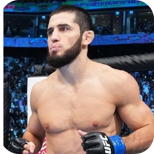 Стикер из набора Islam Makhachev • POOPIW для Телеграм: Статические 🔥