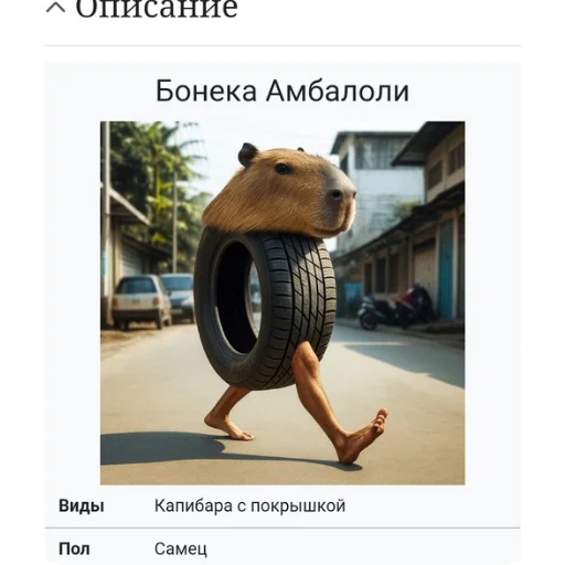 Стикер из набора Новые Итальянские мемы для Телеграм: Статические 🖼