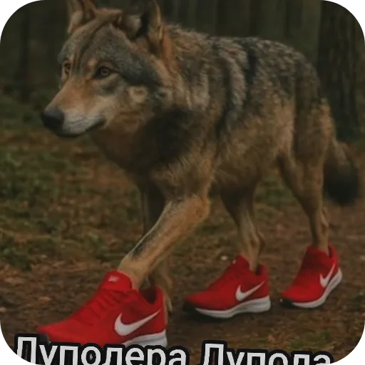 Стикер из набора Новые Итальянские мемы для Телеграм: Статические 🐶