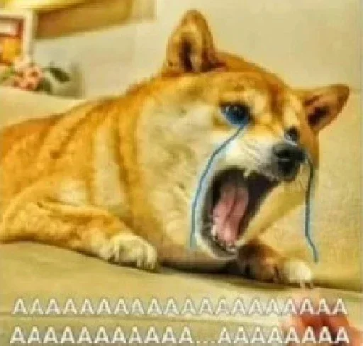 Стикер из набора @better_call_saul_bitch's pack для Телеграм: Статические 😭