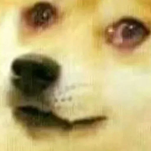 Стикер из набора @better_call_saul_bitch's pack для Телеграм: Статические 😭
