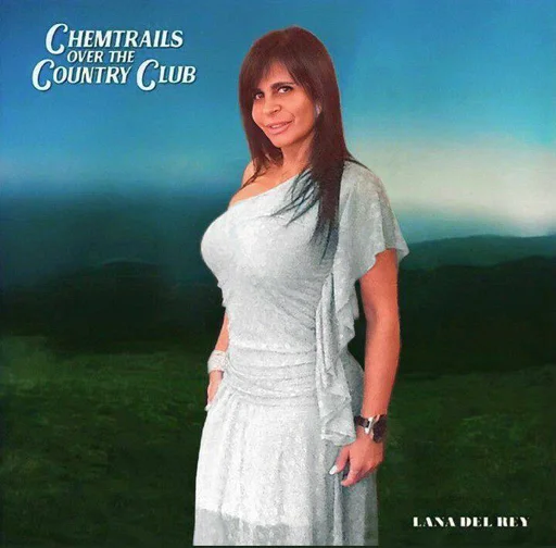 Стикер из набора emancipation of @LanaDelReyBR1 для Телеграм: Статические 😄