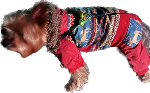 Стикер из набора Пупсик Мика😍🥰😘😘🥰😍🥰😘😛🥰 :: @fStikBot для Телеграм: Статические 🧣