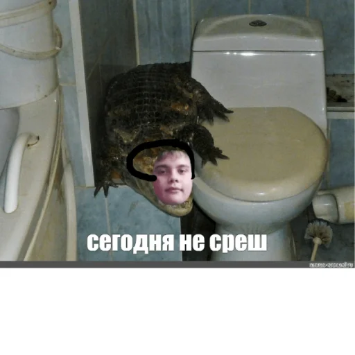 Стикер из набора Олежа,Олег,Олежа для Телеграм: Статические 🐊