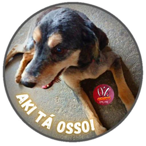 Стикер из набора Osasco Online для Телеграм: Статические 🐶
