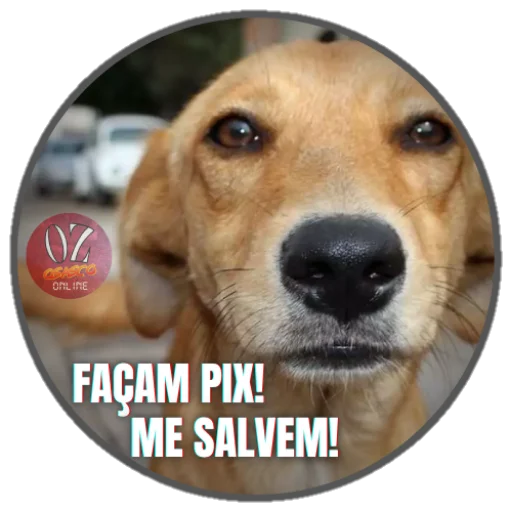 Стикер из набора Osasco Online для Телеграм: Статические 🐶
