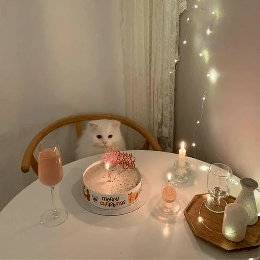 Стикер из набора Gatitos для Телеграм: Статические 🎂