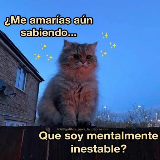 Стикер из набора Gatitos для Телеграм: Статические 😢