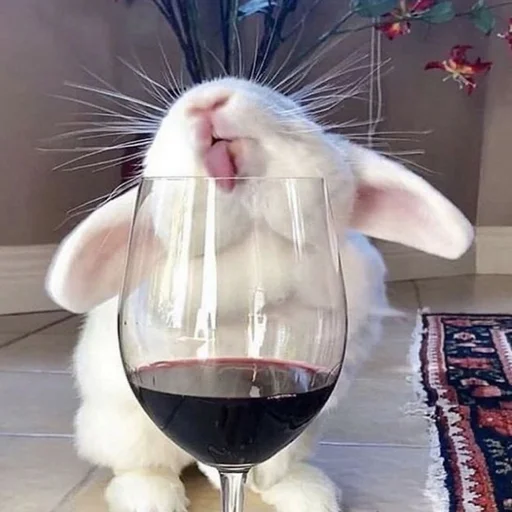 Стикер из набора Gatitos для Телеграм: Статические 🍷