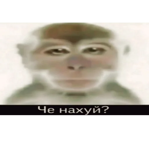 Стикер из набора На случай важных переговоров для Телеграм: Статические 😳