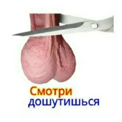 Стикер из набора На случай важных переговоров для Телеграм: Статические ✂️