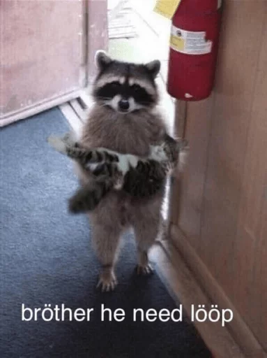 Стикер из набора Racoon it's fun для Телеграм: Статические 😺