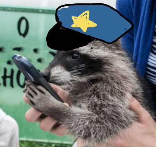 Стикер из набора Racoon it's fun для Телеграм: Статические 👮