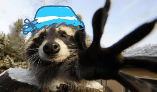 Стикер из набора Racoon it's fun для Телеграм: Статические ✋