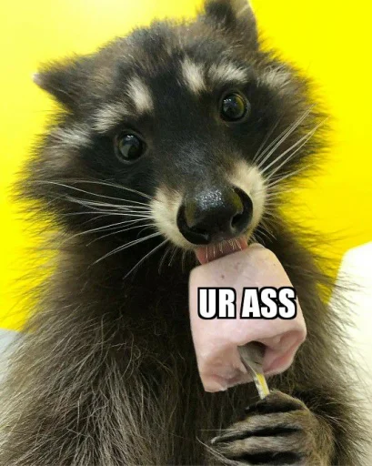 Стикер из набора Racoon it's fun для Телеграм: Статические 👅