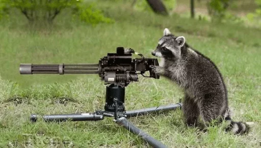 Стикер из набора Racoon it's fun для Телеграм: Статические 🔫