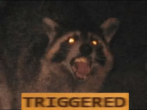 Стикер из набора Racoon it's fun для Телеграм: Статические 😠