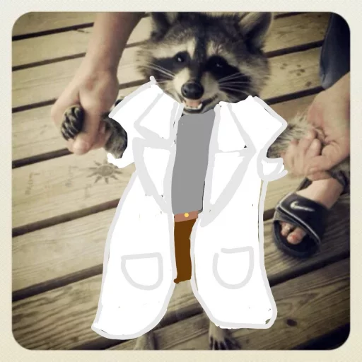 Стикер из набора Racoon it's fun для Телеграм: Статические 🤓