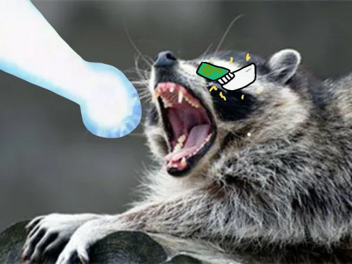 Стикер из набора Racoon it's fun для Телеграм: Статические 🌟