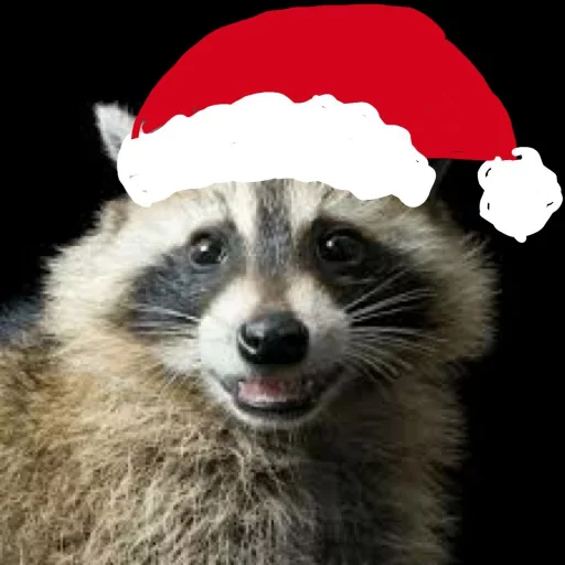 Стикер из набора Racoon it's fun для Телеграм: Статические 🎄
