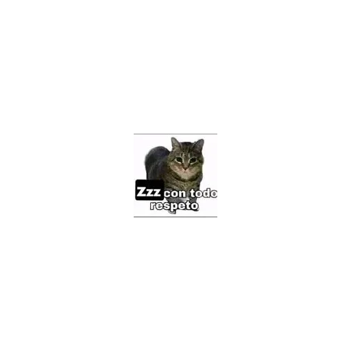 Стикер из набора pupú для Телеграм: Статические 😱
