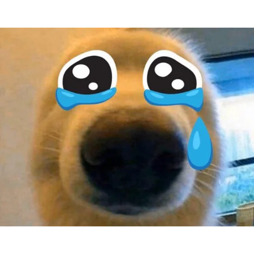 Стикер из набора pupú для Телеграм: Статические 😢