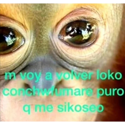 Стикер из набора pupú для Телеграм: Статические 😡