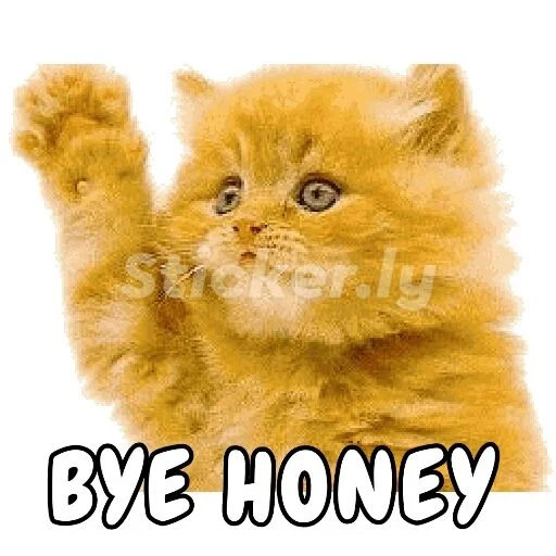 Стикер из набора @PURRFECTFRIENDS JOIN для Телеграм: Статические 👋