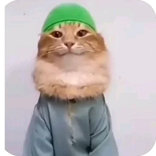 Стикер из набора @UNUAL qzu для Телеграм: Анимированные, Видео, Статические 🫥
