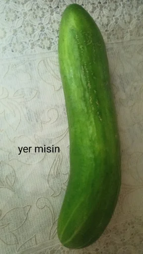 Стикер из набора RAMO для Телеграм: Статические 🥒