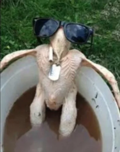 Стикер из набора RAMO для Телеграм: Статические 😎