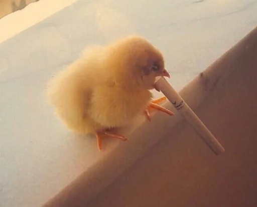 Стикер из набора RAMO для Телеграм: Статические 🚬