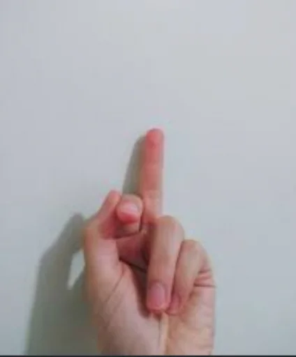 Стикер из набора RAMO для Телеграм: Статические 🖕
