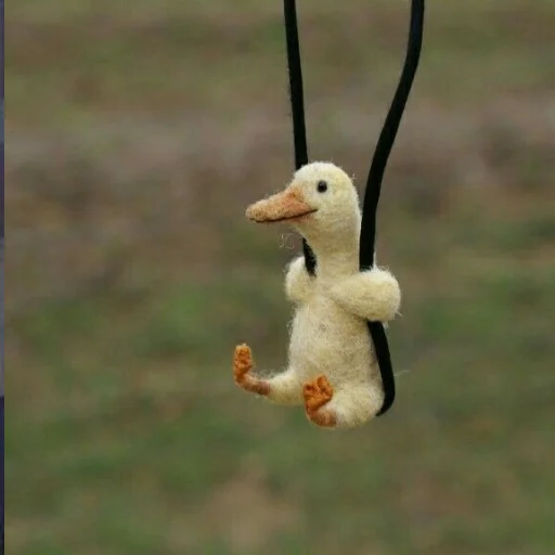 Стикер из набора Random 🤯 @MasStickers2 для Телеграм: Статические 🦆